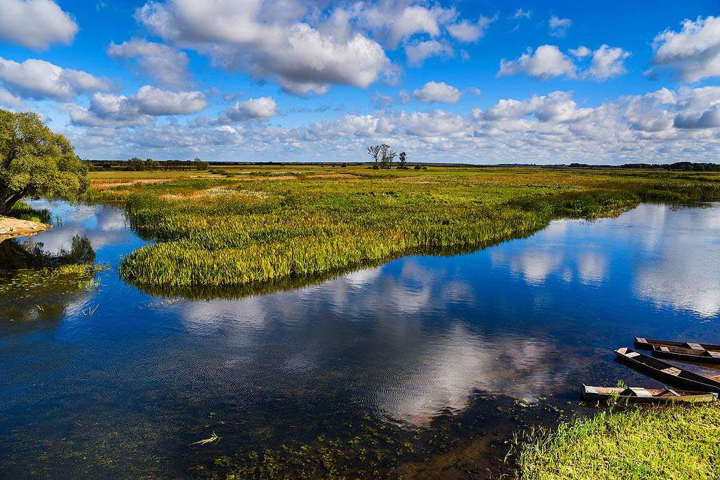 River Biebrza, Podlasie-Poland