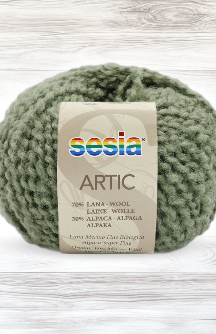 SESIA Artic (4521) mech